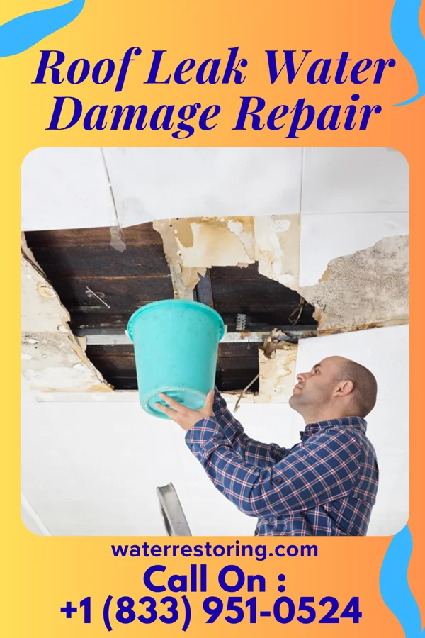 Roof Leak Water Damage Repair in Urbanna, VA