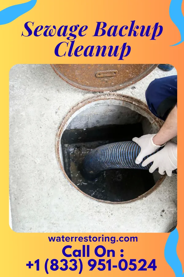 Sewage Backup Cleanup in Urbanna, VA