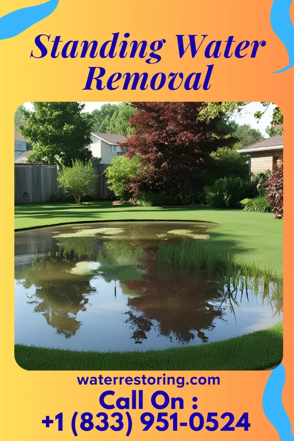 Standing Water Removal in Urbanna, VA